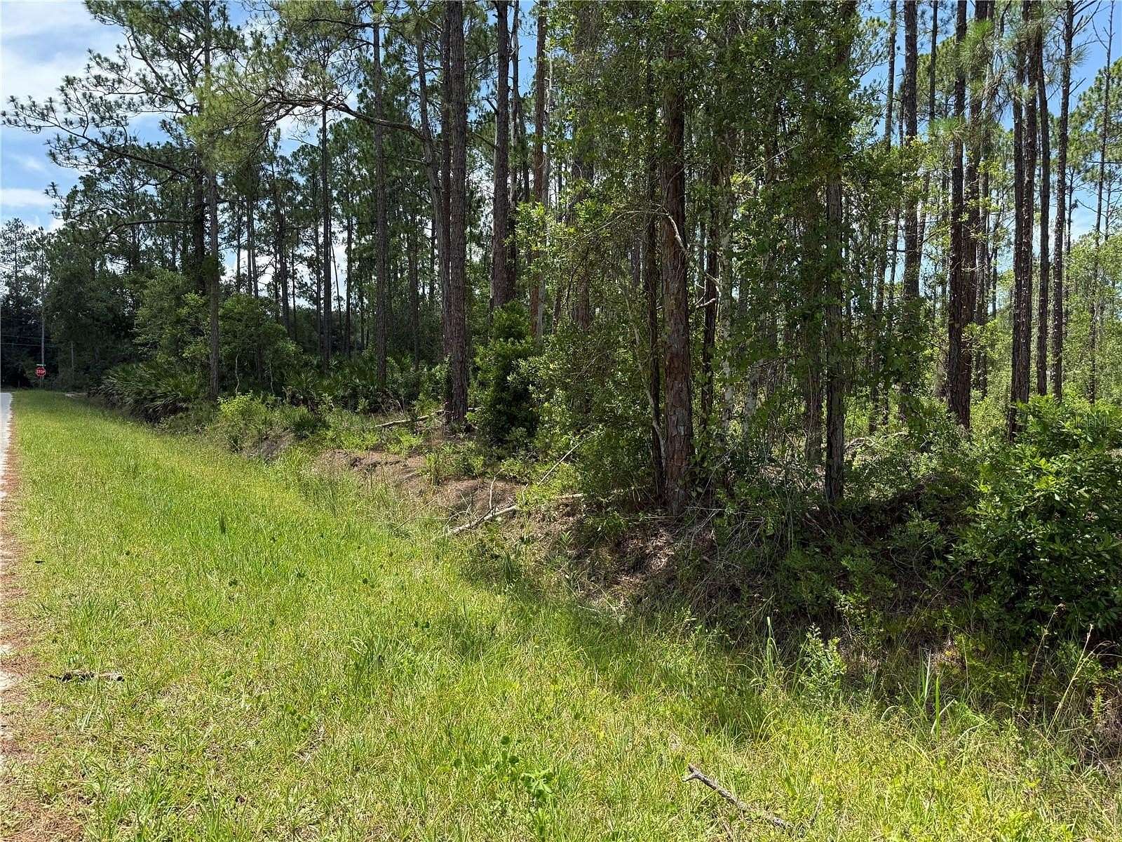 1.1 Acres of Residential Land for Sale in Bunnell, Florida