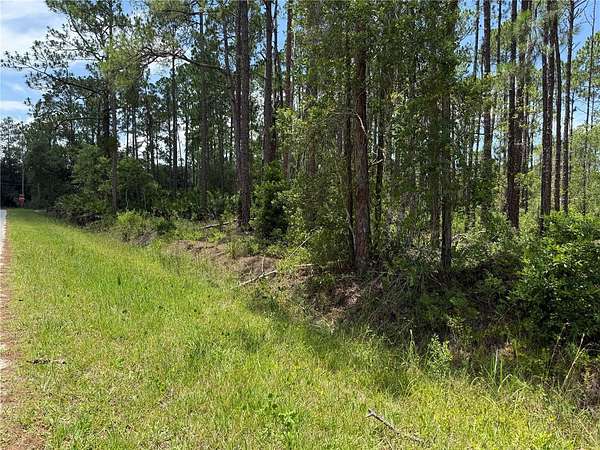 1.1 Acres of Residential Land for Sale in Bunnell, Florida