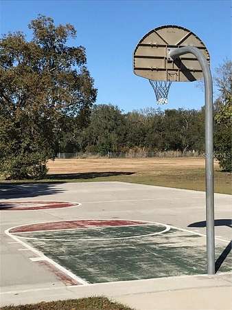 3 Acres of Residential Land for Sale in Odessa, Florida