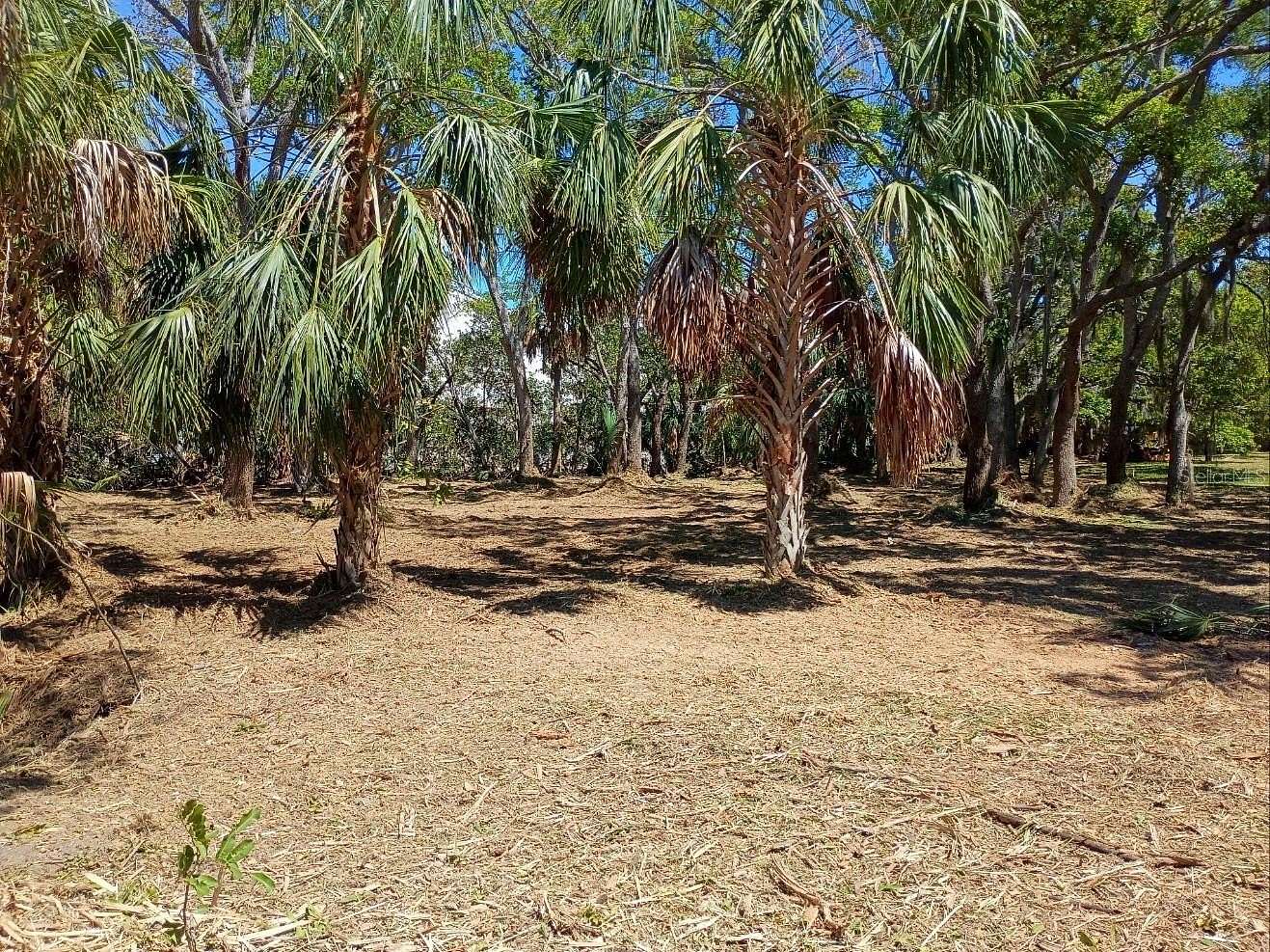 0.83 Acres of Residential Land for Sale in Largo, Florida