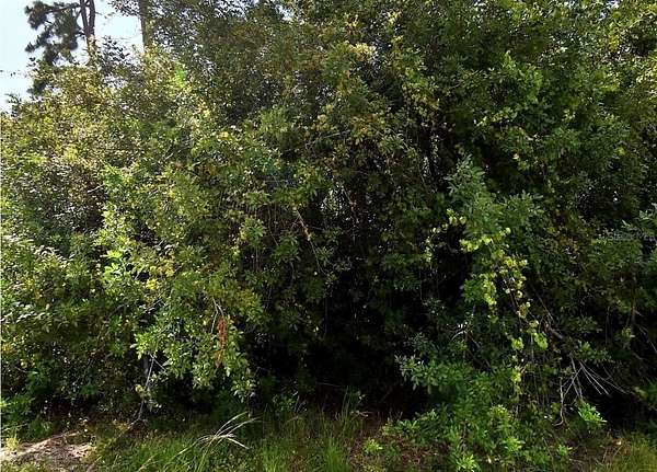0.51 Acres of Land for Sale in North Port, Florida