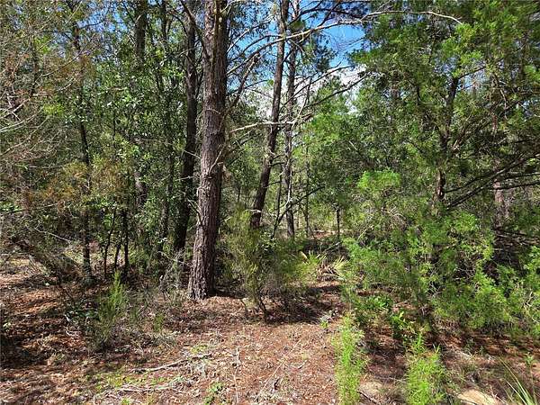 1.25 Acres of Land for Sale in Archer, Florida