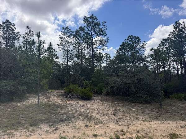0.23 Acres of Residential Land for Sale in Citrus Springs, Florida