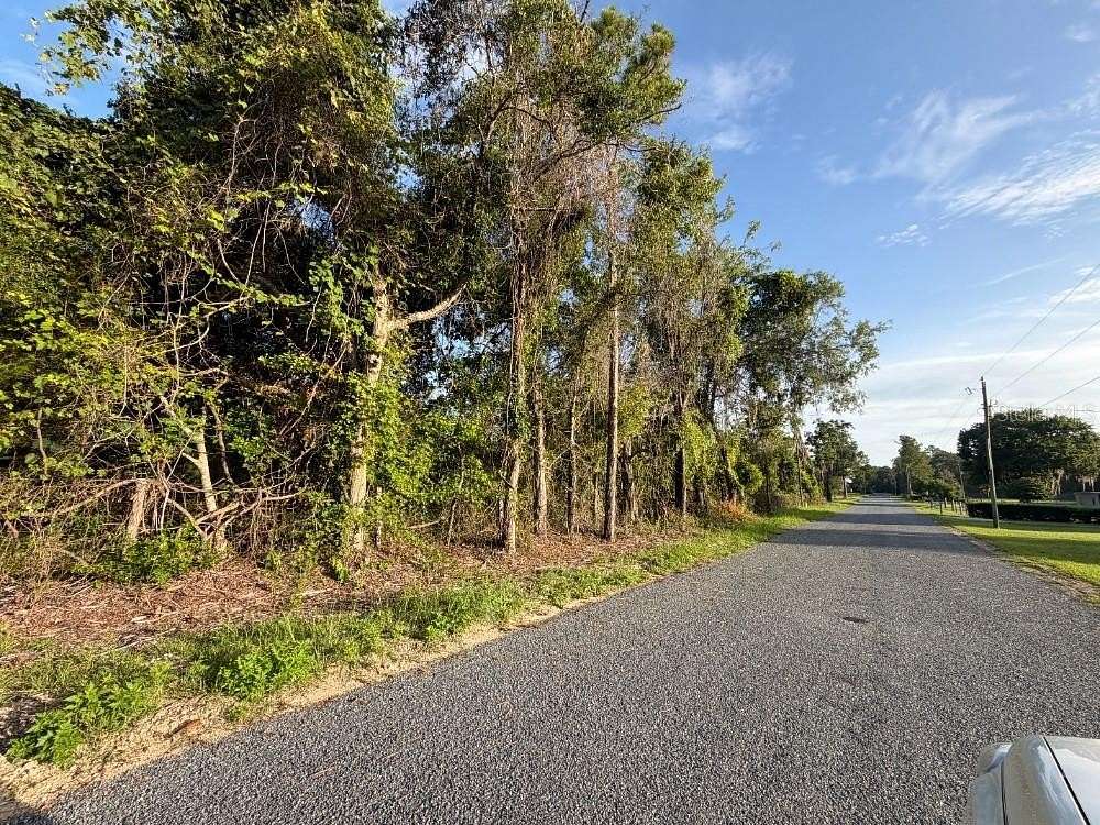 19.3 Acres of Land for Sale in Williston, Florida
