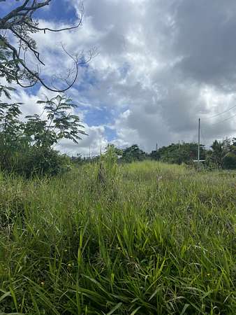 2 Acres of Land for Sale in Kurtistown, Hawaii