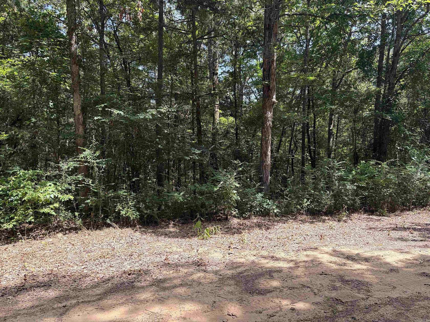 1.1 Acres of Land for Sale in Greers Ferry, Arkansas