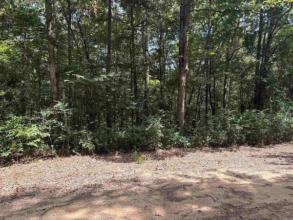 1.1 Acres of Land for Sale in Greers Ferry, Arkansas