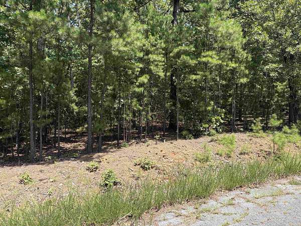 1.32 Acres of Land for Sale in Greers Ferry, Arkansas