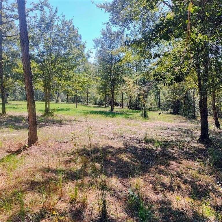 43.3 Acres of Recreational & Residential Land for Sale in Wilmer, Alabama