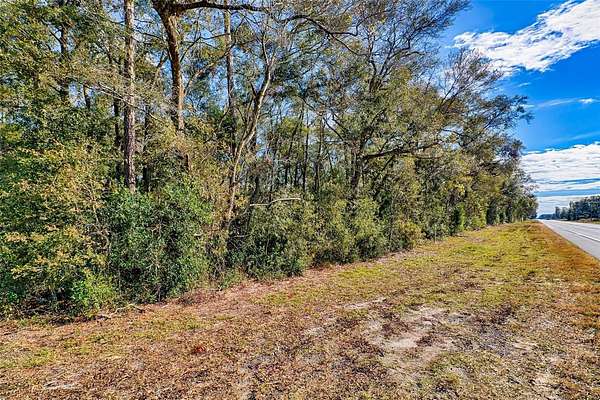 8 Acres of Land for Sale in Bell, Florida