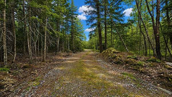30 Acres of Recreational & Residential Land for Sale in Westport Island, Maine