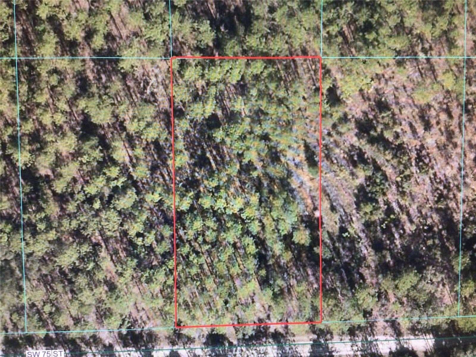 1.16 Acres of Residential Land for Sale in Dunnellon, Florida