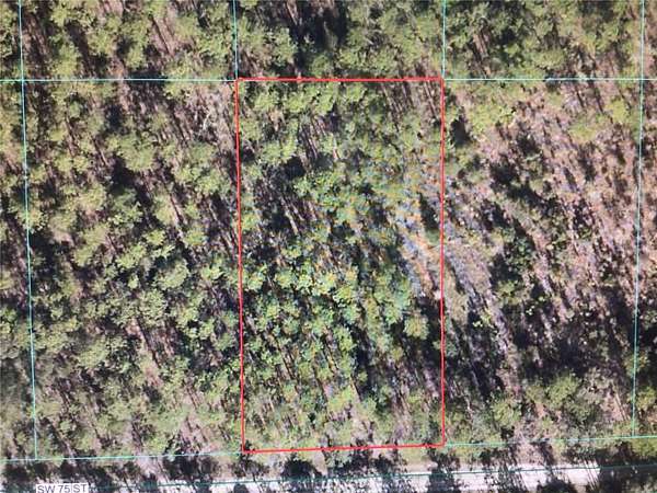 1.16 Acres of Residential Land for Sale in Dunnellon, Florida