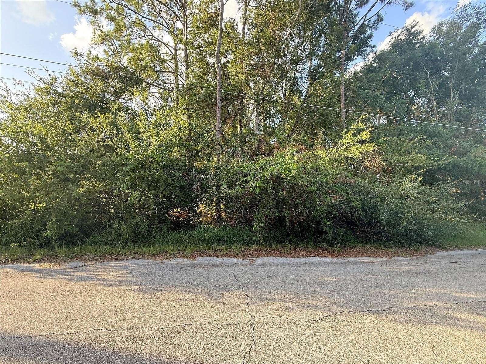 0.33 Acres of Residential Land for Sale in St. Cloud, Florida