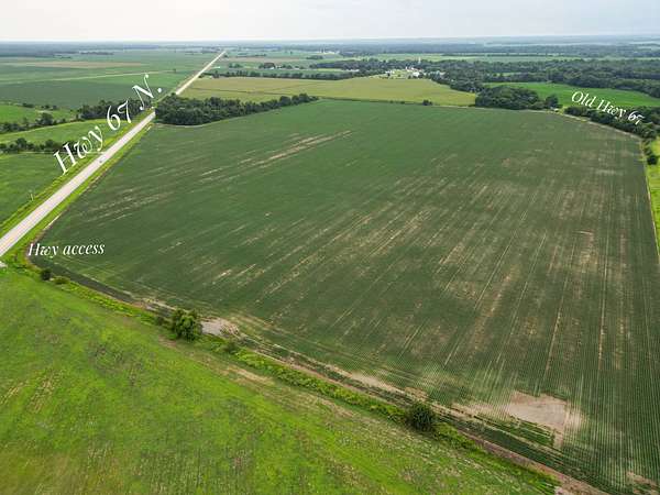 110 Acres of Land for Sale in Biggers, Arkansas