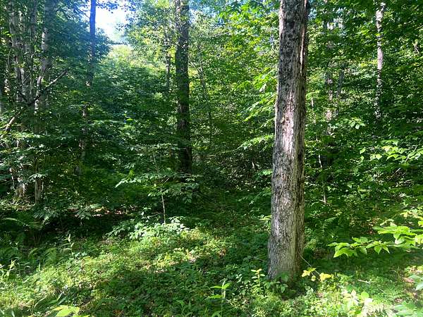 52.5 Acres of Recreational Land for Sale in Camden, New York