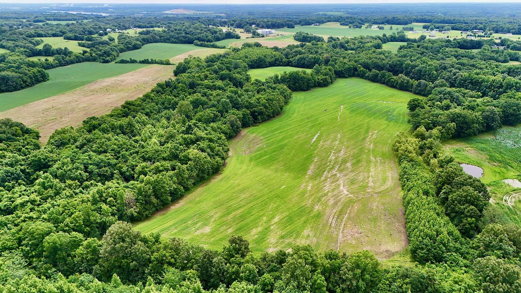 50 Acres of Agricultural Land for Sale in Ledbetter, Kentucky