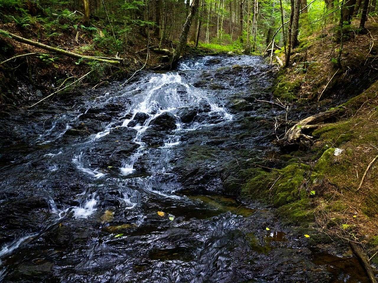10.9 Acres of Land for Sale in Duxbury, Vermont