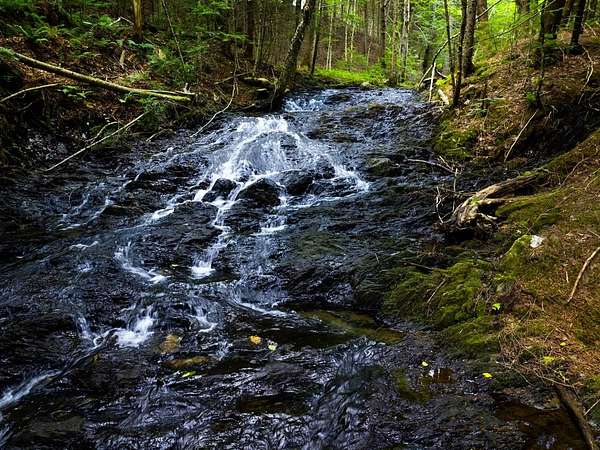 10.9 Acres of Land for Sale in Duxbury, Vermont