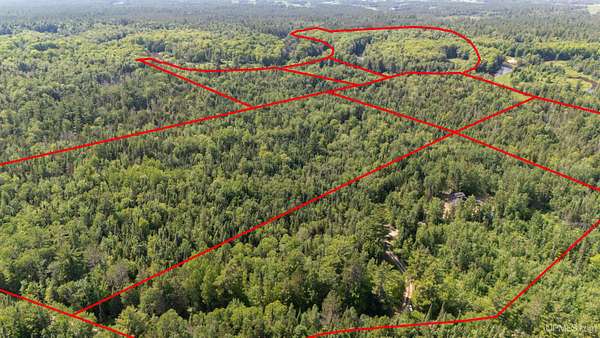 13.5 Acres of Recreational & Residential Land for Sale in Gulliver, Michigan