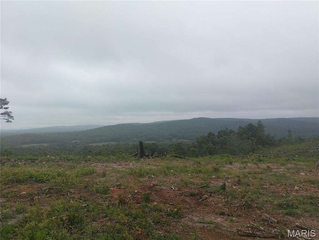 20 Acres of Recreational & Residential Land for Sale in Belleview, Missouri