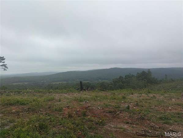 20 Acres of Recreational & Residential Land for Sale in Belleview, Missouri
