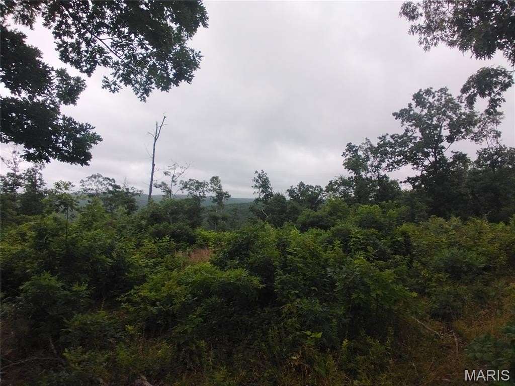 100 Acres of Recreational & Residential Land for Sale in Belleview, Missouri