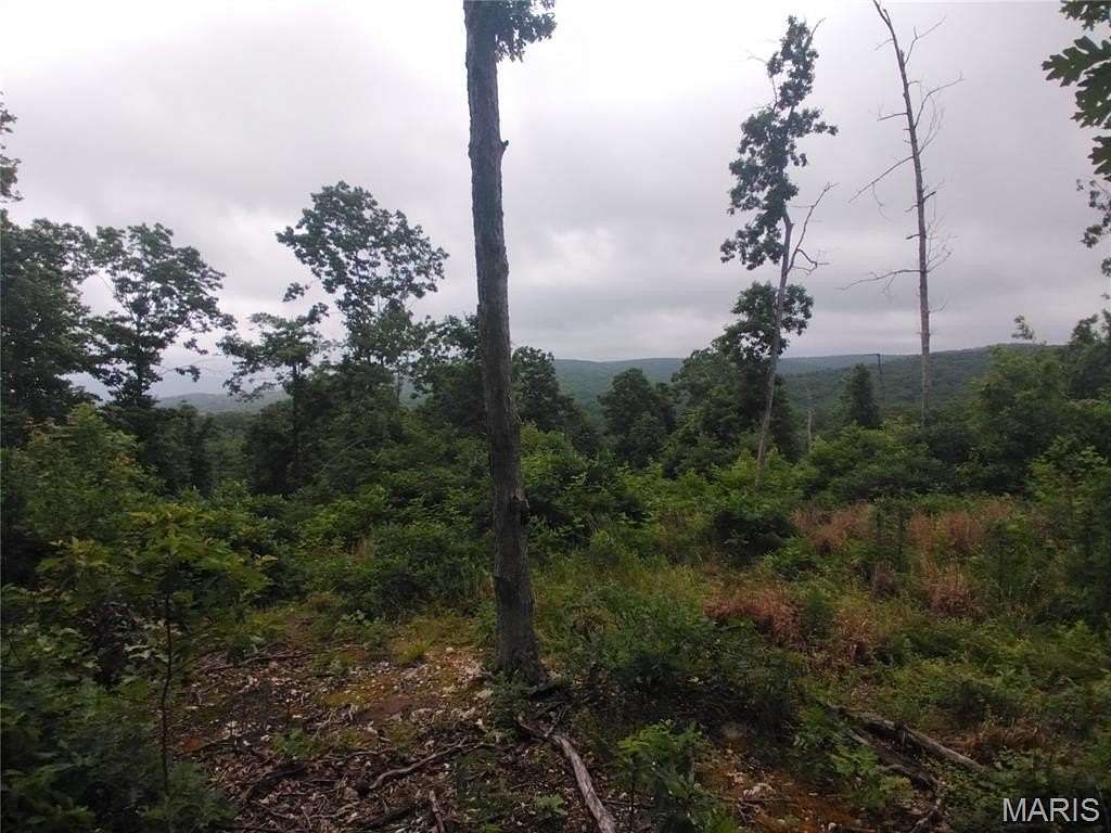 20 Acres of Agricultural Land for Sale in Belleview, Missouri