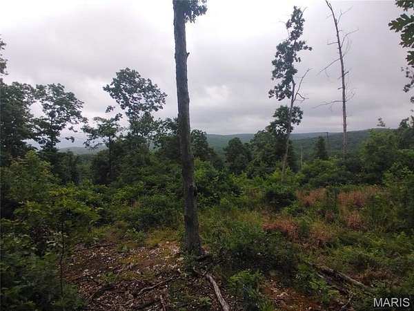 20 Acres of Agricultural Land for Sale in Belleview, Missouri