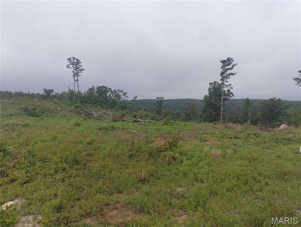20 Acres of Recreational & Residential Land for Sale in Belleview, Missouri
