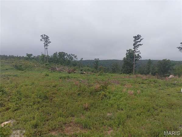 20 Acres of Recreational & Residential Land for Sale in Belleview, Missouri