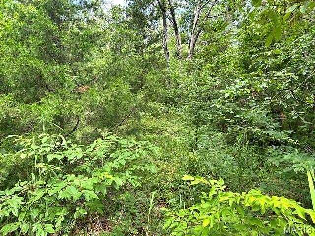 0.46 Acres of Residential Land for Sale in Bismarck, Missouri