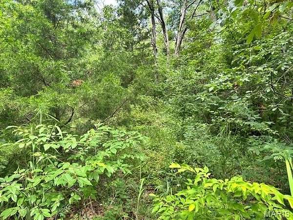 0.46 Acres of Residential Land for Sale in Bismarck, Missouri