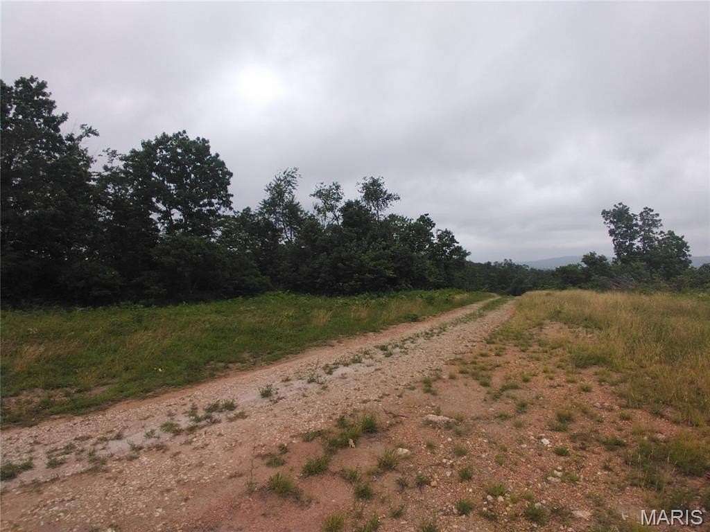 17.1 Acres of Land for Sale in Belleview, Missouri