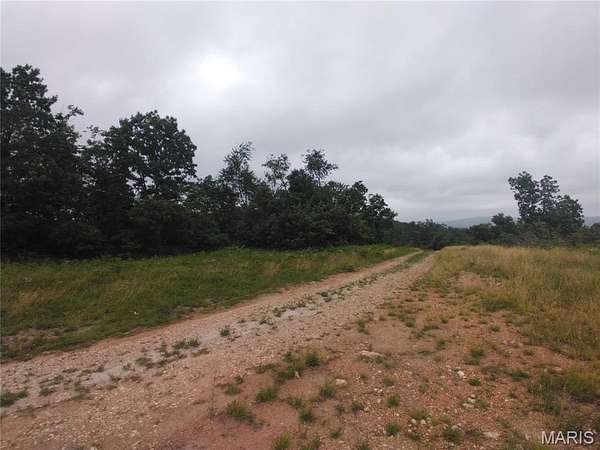 17.1 Acres of Land for Sale in Belleview, Missouri