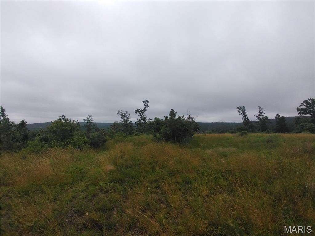 16 Acres of Recreational & Residential Land for Sale in Belleview, Missouri