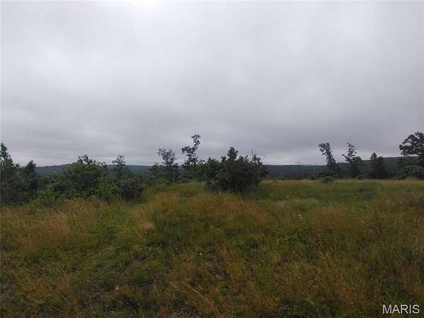 16 Acres of Recreational & Residential Land for Sale in Belleview, Missouri