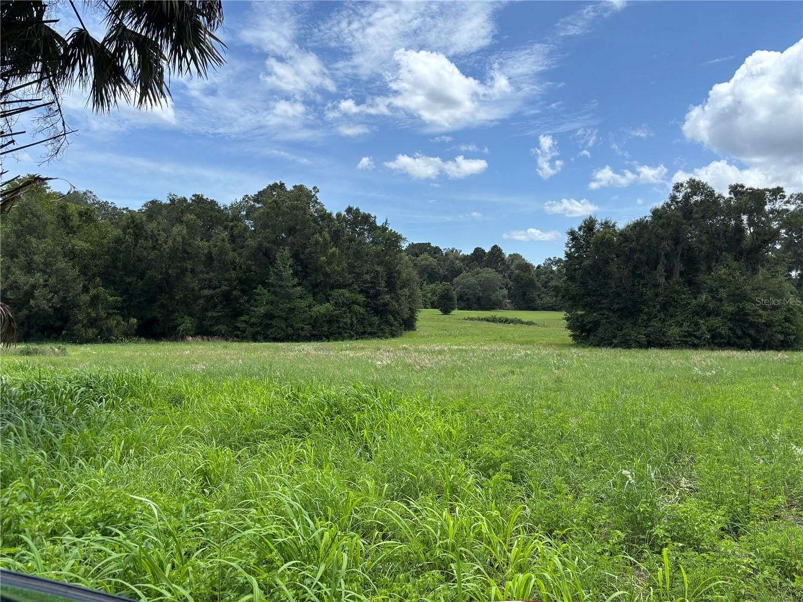 11.5 Acres of Land for Sale in Citra, Florida