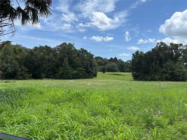 11.5 Acres of Land for Sale in Citra, Florida