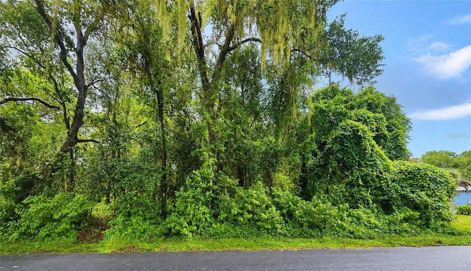 0.22 Acres of Residential Land for Sale in Inverness, Florida