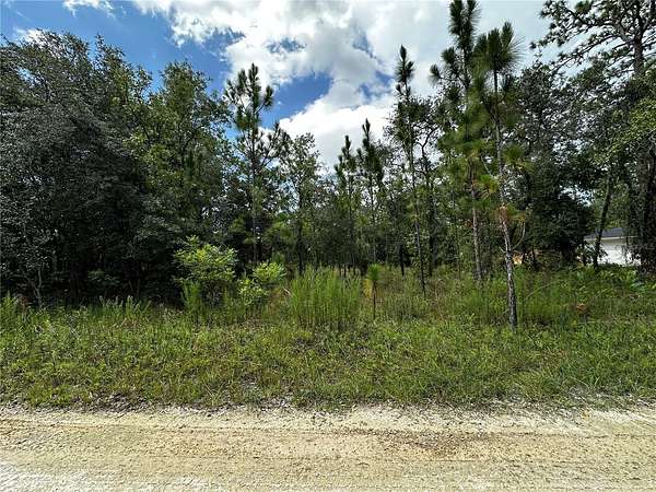 0.23 Acres of Residential Land for Sale in Williston, Florida