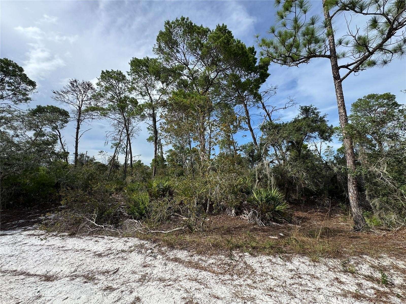 0.22 Acres of Residential Land for Sale in Sebring, Florida