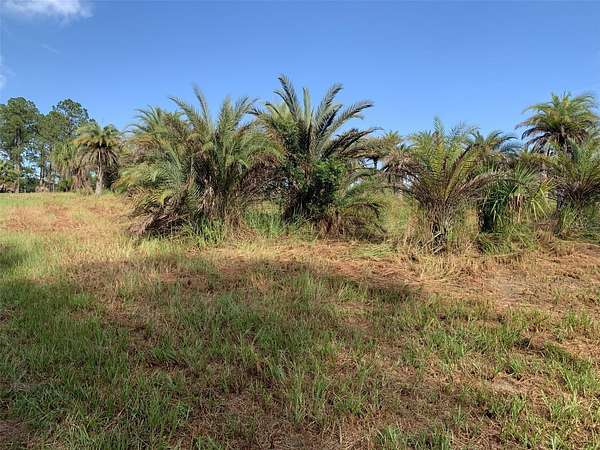 5.23 Acres of Residential Land for Sale in Brooksville, Florida