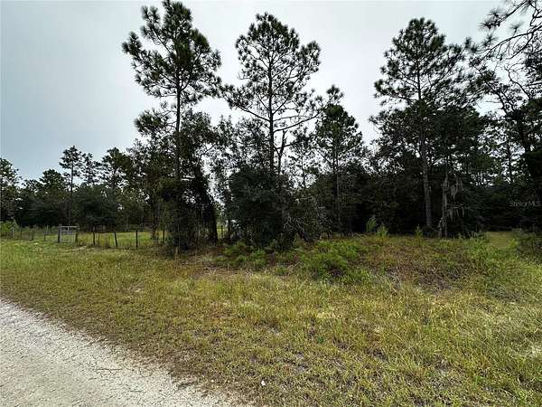 0.25 Acres of Residential Land for Sale in Dunnellon, Florida