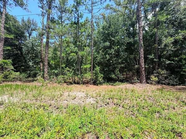 8 Acres of Residential Land for Sale in Citra, Florida