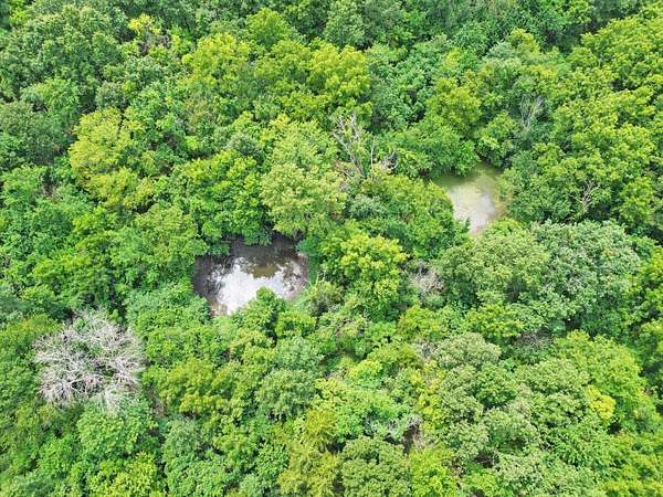 228 Acres of Land for Sale in Lockwood, Missouri