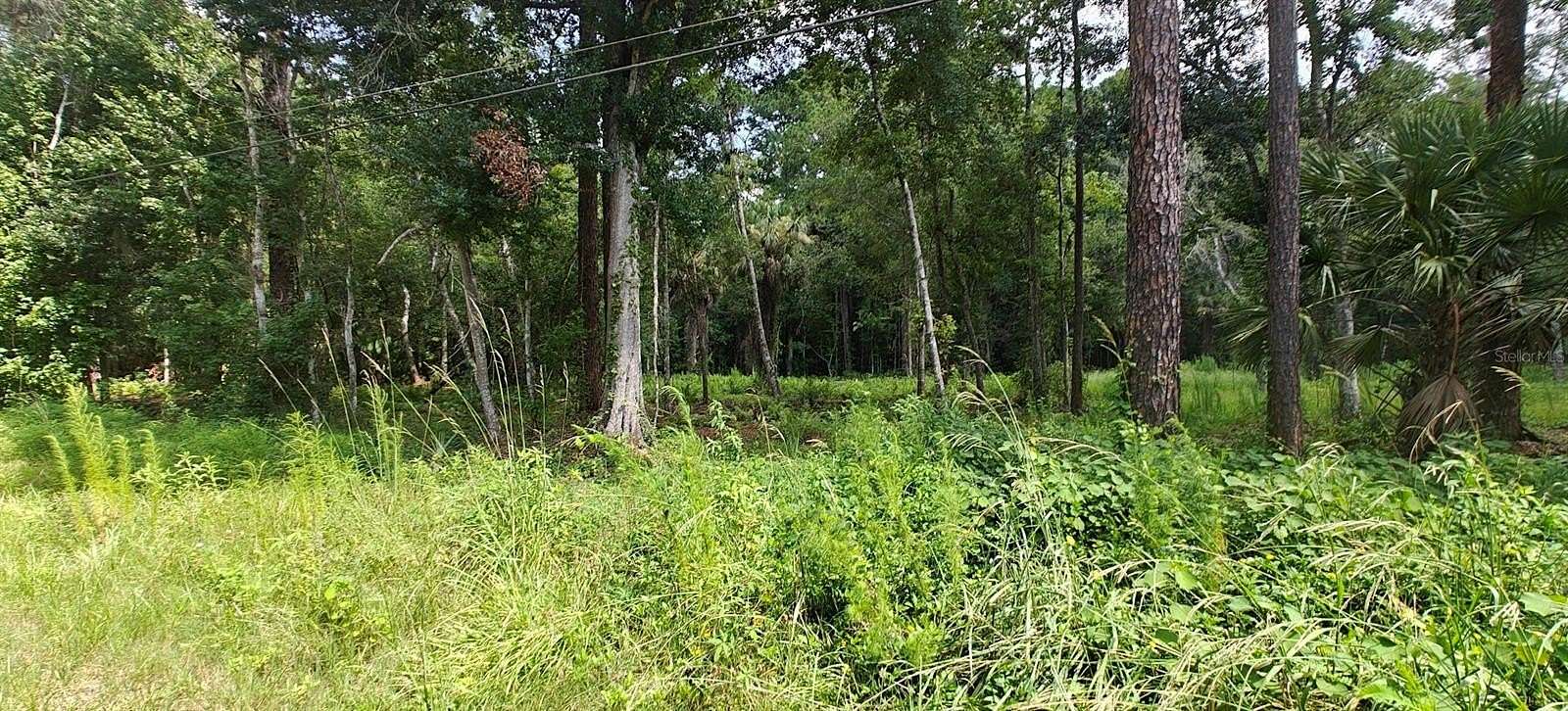 5 Acres of Land for Sale in Kissimmee, Florida