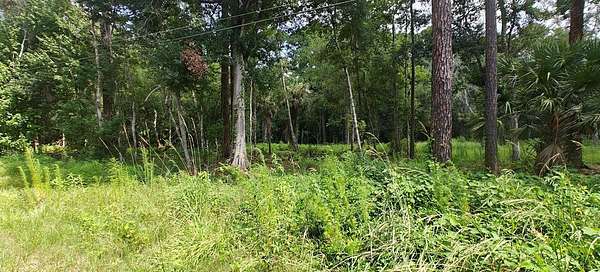 5 Acres of Land for Sale in Kissimmee, Florida
