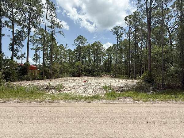 1 Acre of Residential Land for Sale in Bunnell, Florida