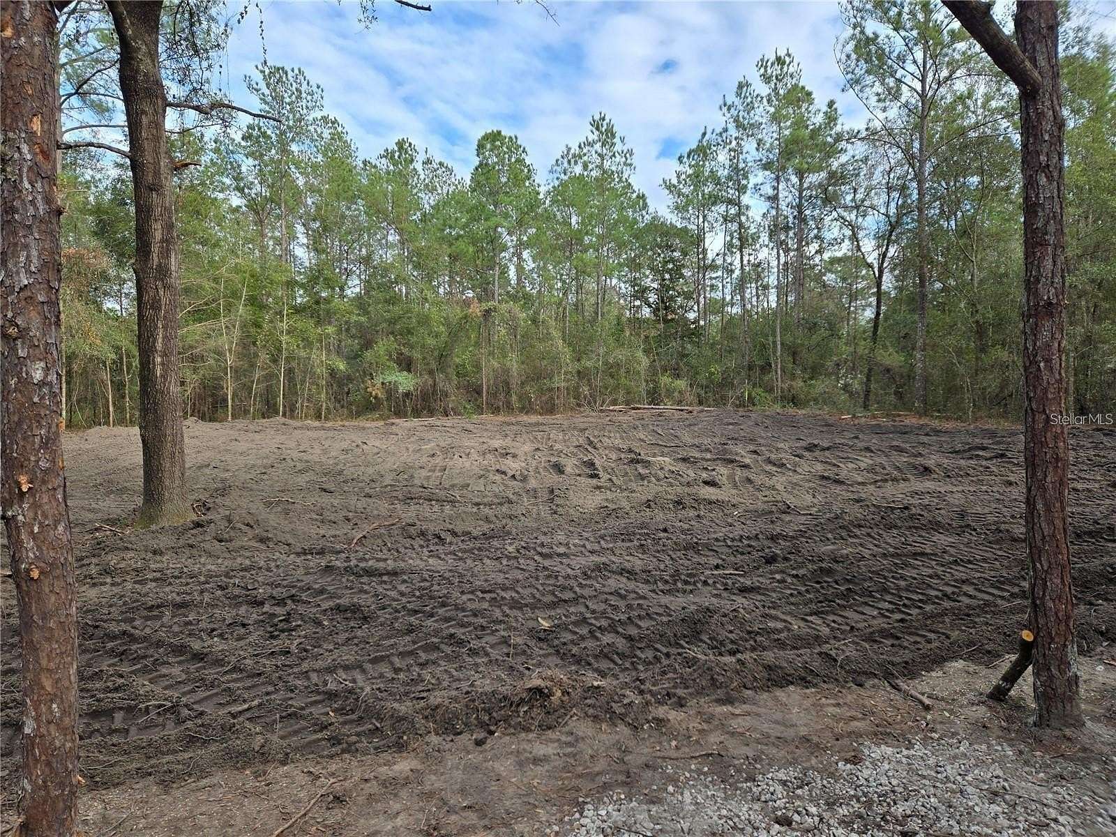 1 Acre of Residential Land for Sale in Williston, Florida